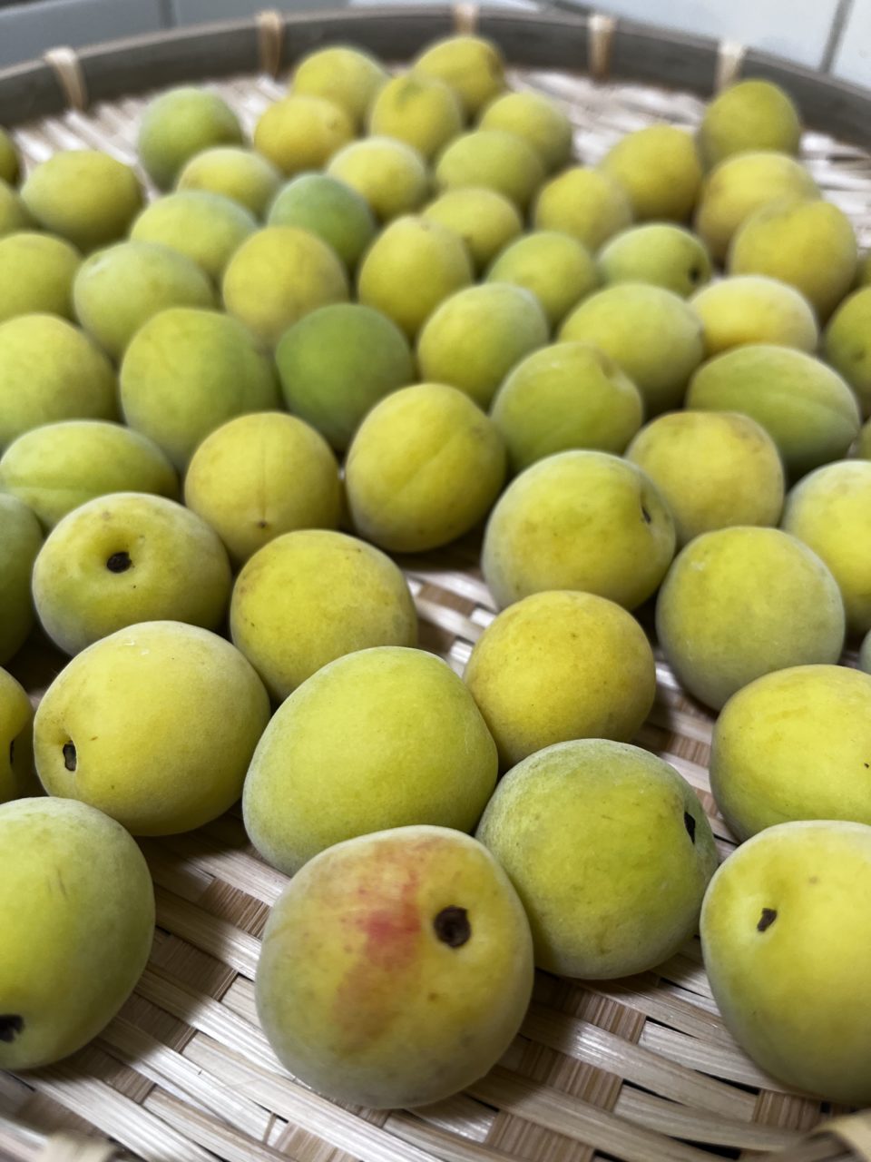 和歌山のとてもいい香りの梅